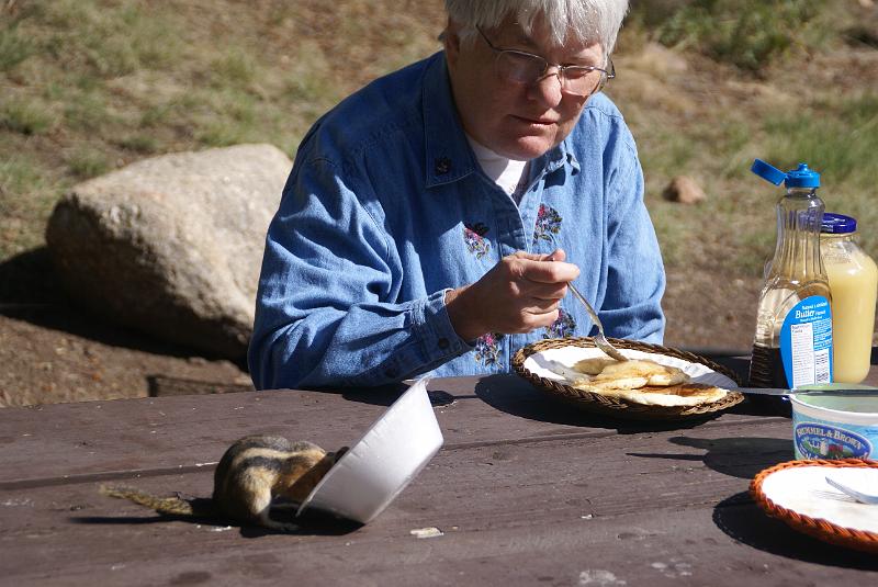 DSC04606.JPG - Chipmunk - Aspenglen Campground - RMNP