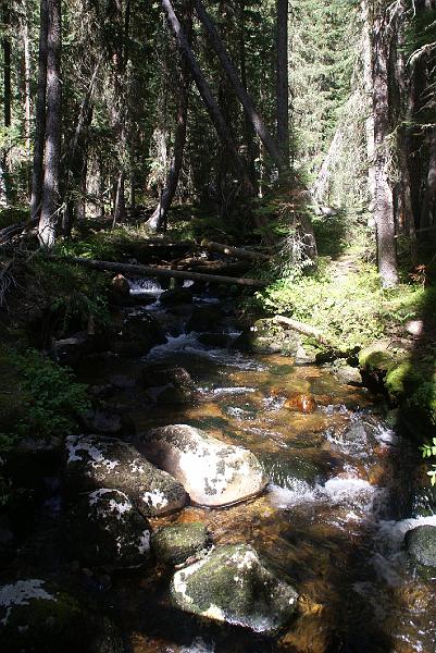 DSC04678.JPG - Stream - Green Mtn Loop Trail - RMNP