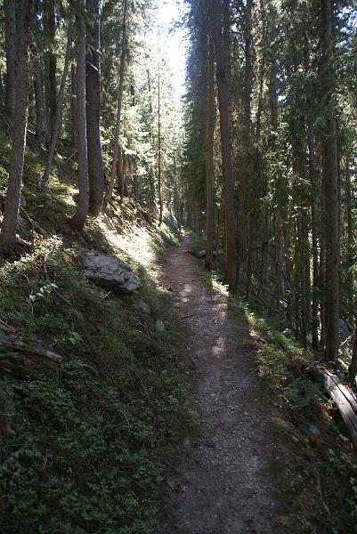 DSC04687.JPG - Green Mtn Loop Trail - RMNP