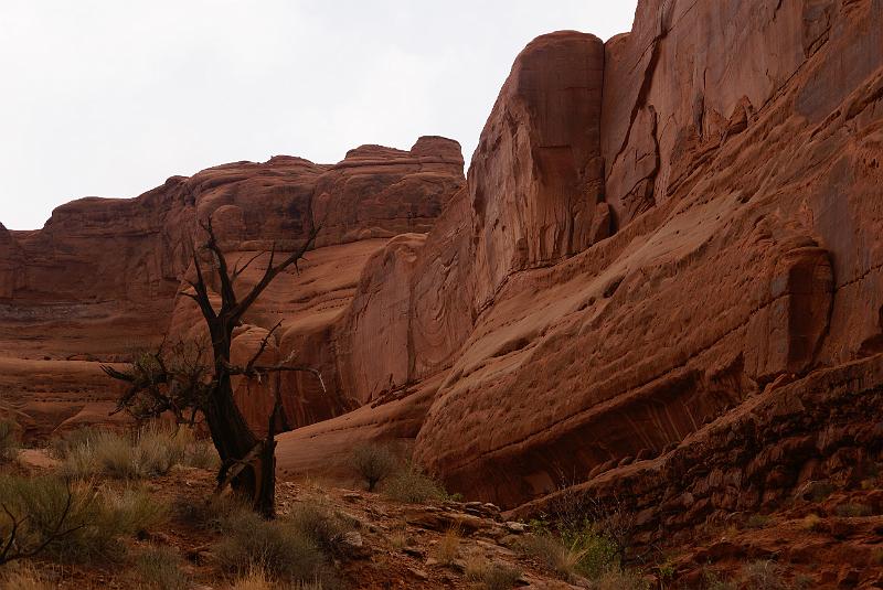 DSC04781.JPG - Park Ave. Trail - Arches NP