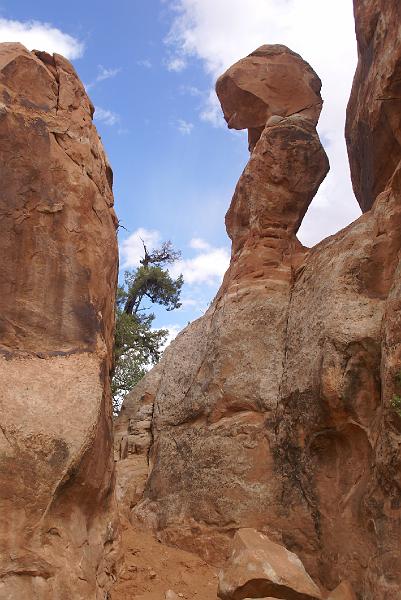 DSC04896.JPG - Arches NP