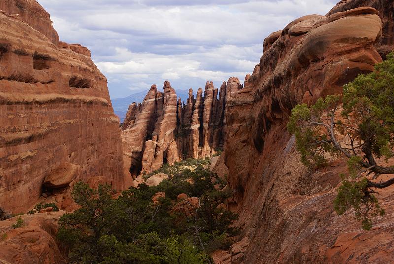 DSC04954.JPG - Devil's Garden Trail - Arches NP