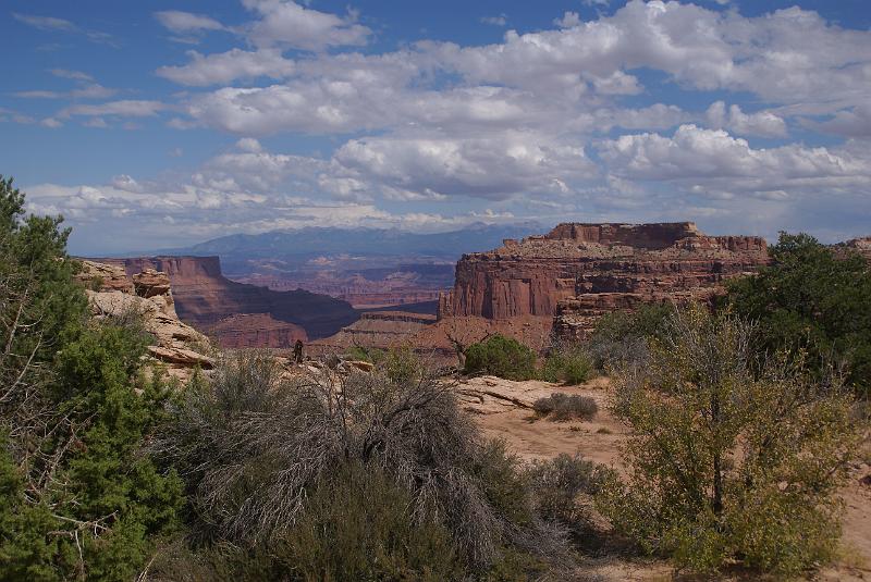 DSC05022.JPG - Canyonlands NP