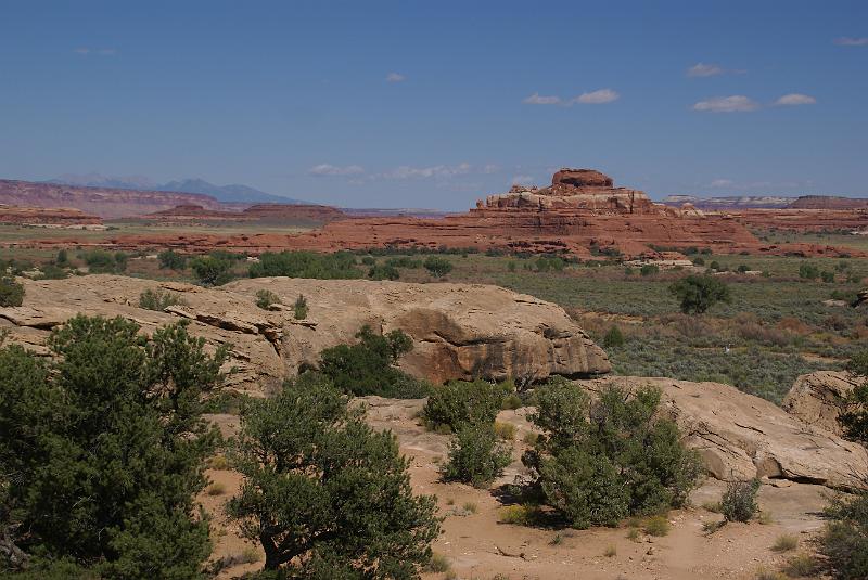 DSC05070.JPG - Cave Springs Trail - Needles Section Canyonlands NP