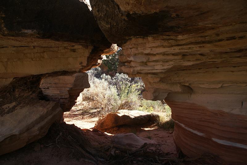 DSC05074.JPG - Cave Springs Trail - Needles Section Canyonlands NP