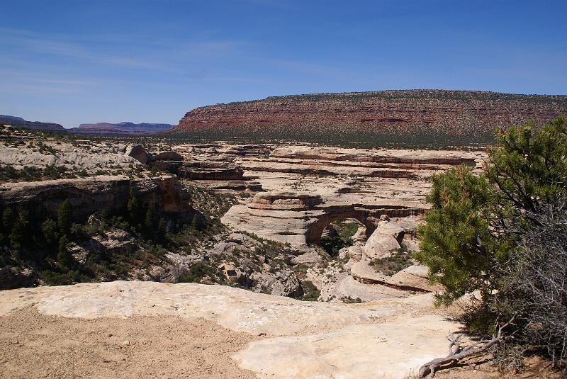 DSC05137.JPG - Sipapu Bridge - Natural Bridges National Monument