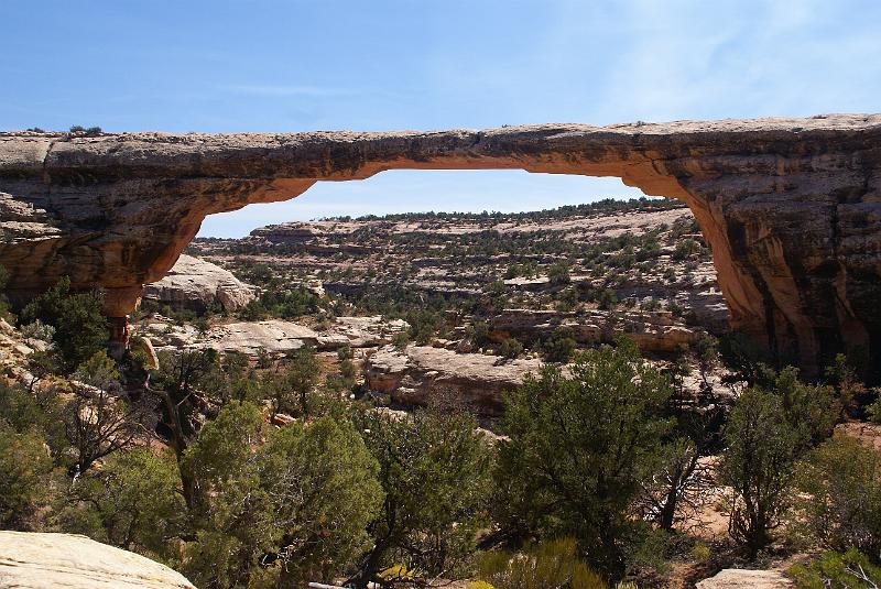 DSC05150.JPG - Owachomo Bridge - Natural Bridges National Monument