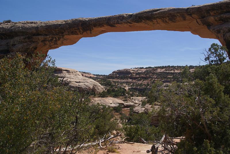 DSC05153.JPG - Owachomo Bridge - Natural Bridges National Monument