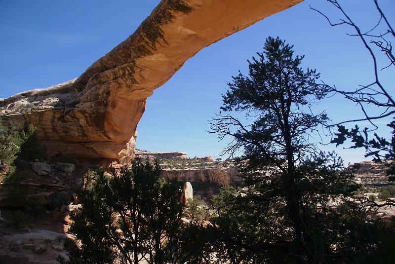 DSC05157.JPG - Owachomo Bridge - Natural Bridges National Monument