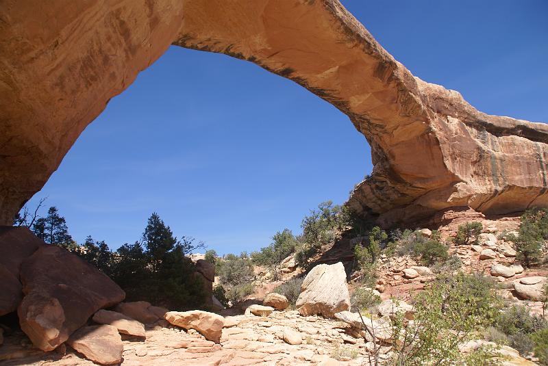 DSC05163.JPG - Owachomo Bridge - Natural Bridges National Monument