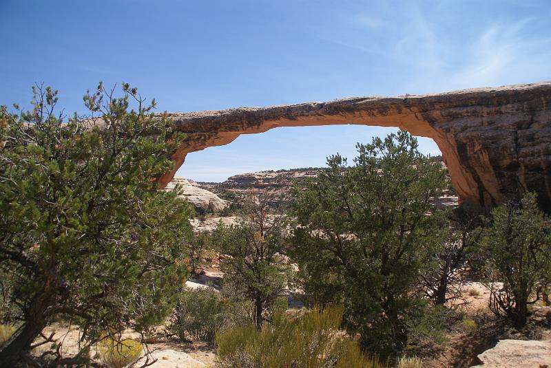 DSC05171.JPG - Owachomo Bridge - Natural Bridges National Monument