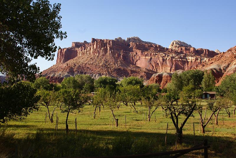 DSC05190.JPG - Fruita Orchard -Capital Reef NP