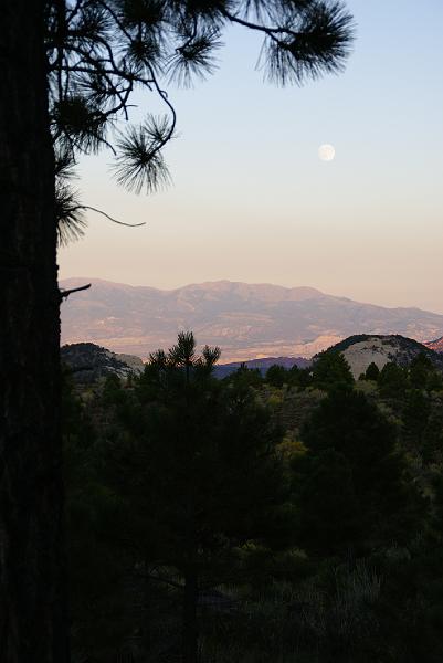 DSC05198.JPG - Singletree National Forest Campgrounds - Utah