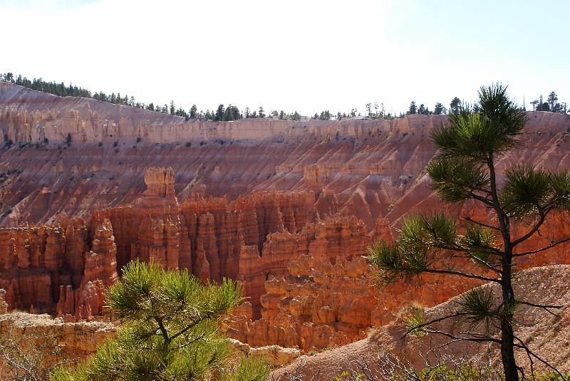 DSC05219.JPG - Bryce Amphitheater - Bryce Canyon NP