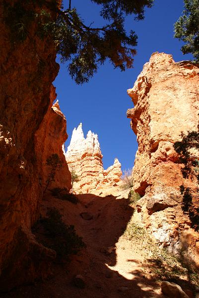 DSC05228.JPG - Navajo Trail - Bryce Canyon NP