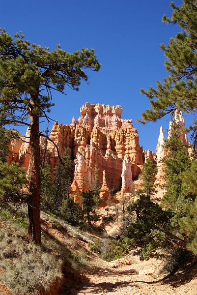 DSC05241.JPG - Navajo Trail - Bryce Canyon NP