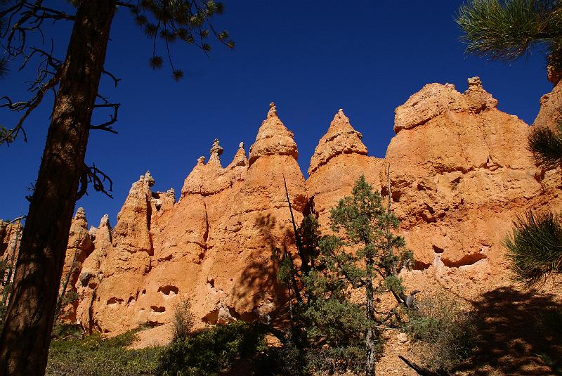 DSC05242.JPG - Queen's Garden Trail - Bryce Canyon NP