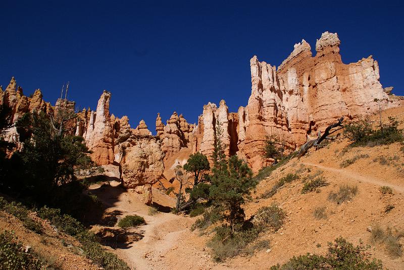 DSC05244.JPG - Queen's Garden Trail - Bryce Canyon NP