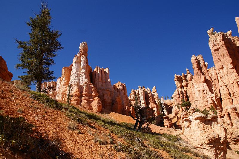 DSC05251.JPG - Queen's Garden Trail - Bryce Canyon NP