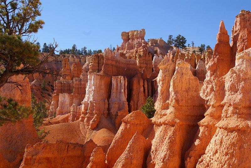 DSC05257.JPG - Queen's Garden Trail - Bryce Canyon NP