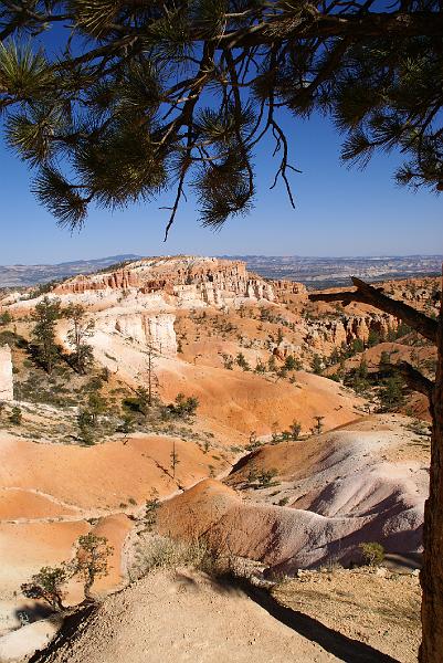 DSC05261.JPG - Queen's Garden Trail - Bryce Canyon NP