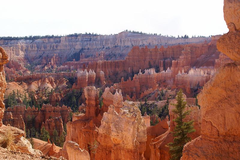 DSC05263.JPG - Bryce Canyon NP