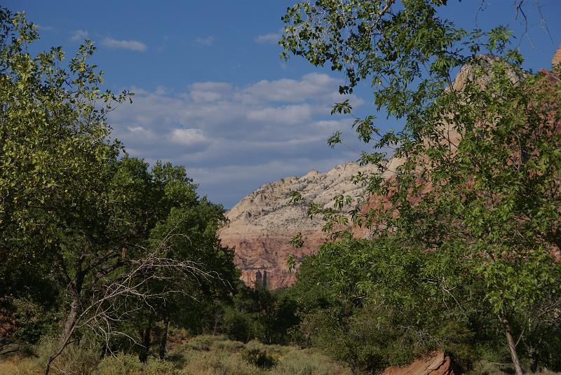 DSC05316.JPG - Zion NP