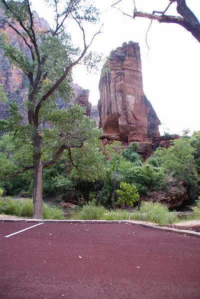 DSC05321.JPG - Temple of Sinawava - Zion NP