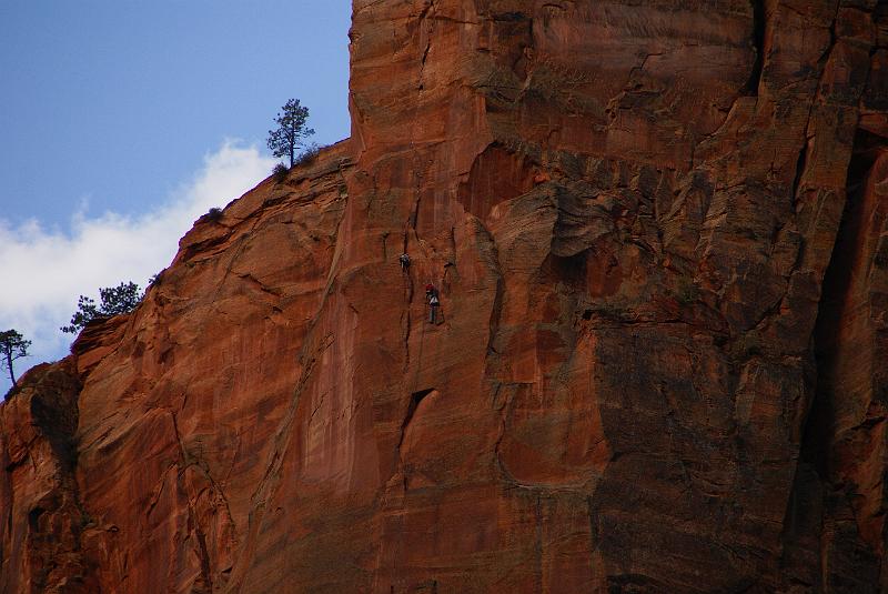 DSC05330.JPG - Rock Climbers - Zion NP