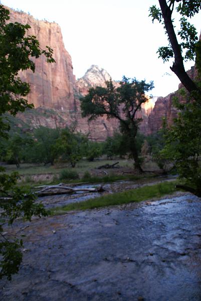 DSC05331.JPG - Virgin River - Zion NP