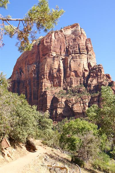 DSC05339.JPG - Angels Landing - Angels Landing Trail - Zion NP