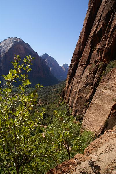 DSC05342.JPG - Angels Landing Trail - Zion NP