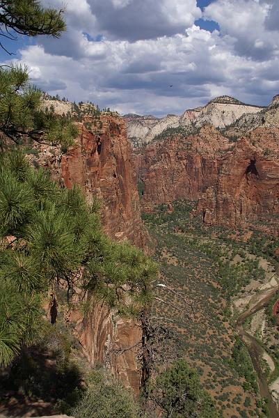 DSC05378.JPG - From Angels Landing - Zion NP