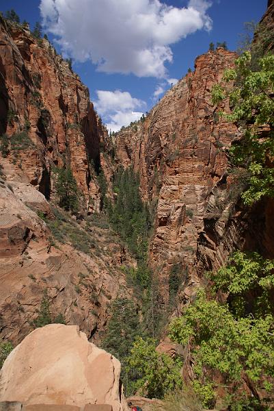 DSC05391.JPG - Angels Landing Trail - Zion NP