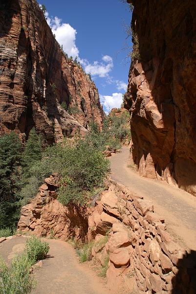 DSC05395.JPG - Angels Landing Trail - Zion NP