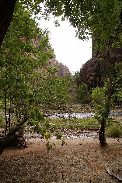 DSC05416.JPG - Zion NP