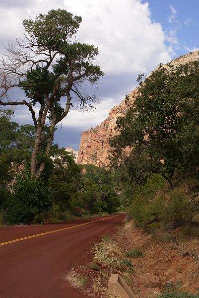 DSC05421.JPG - Zion NP