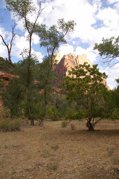 DSC05471.JPG - Emerald Pools Trails - Zion NP