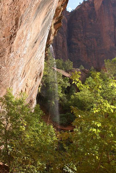 DSC05479.JPG - Lower Emerald Pool - Zion NP