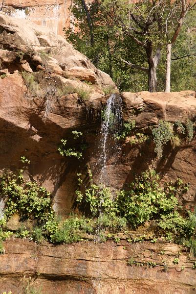 DSC05482.JPG - Lower Emerald Pool - Zion NP