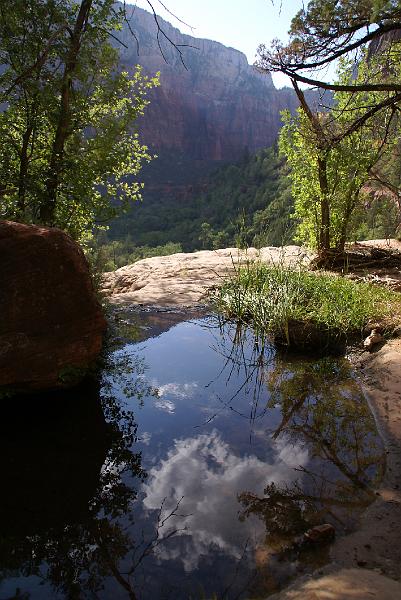 DSC05487.JPG - Middle Emerald Pool - Zion NP