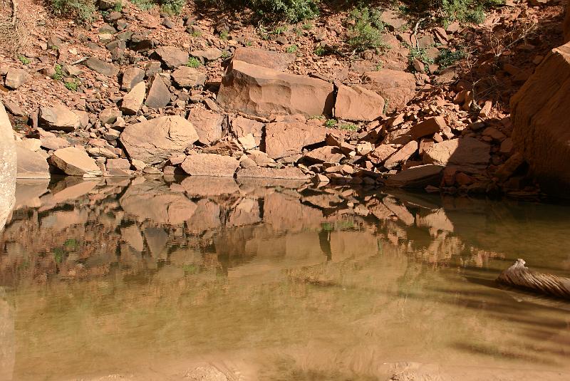 DSC05489.JPG - Upper Emerald Pool - Zion NP