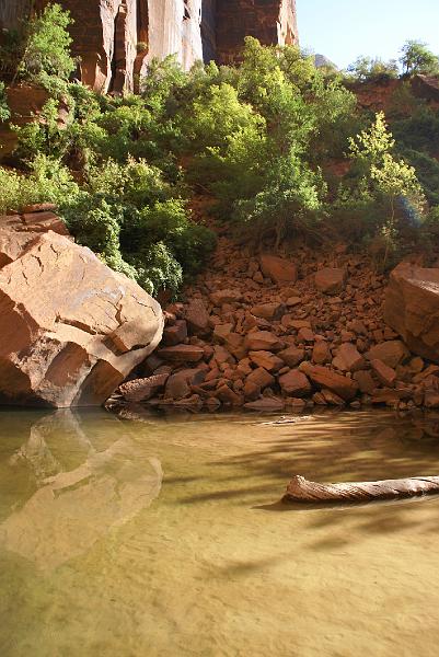 DSC05490.JPG - Upper Emerald Pool - Zion NP