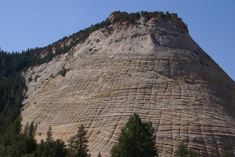 DSC05502.JPG - Checkerboard Mesa - Zion NP