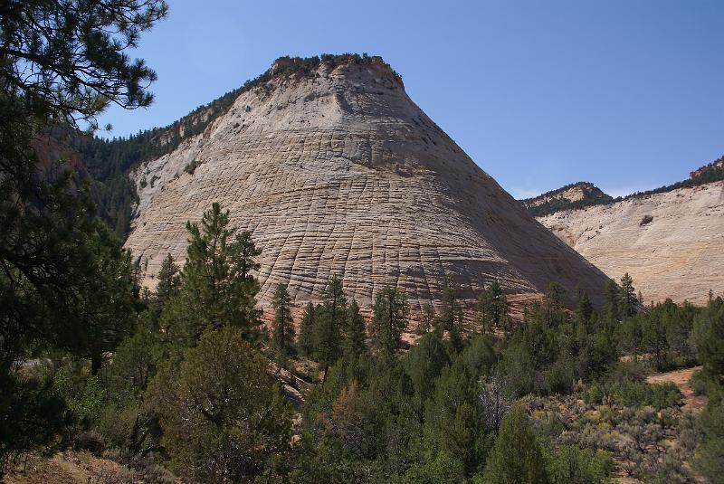 DSC05511.JPG - Checkerboard Mesa - Zion NP