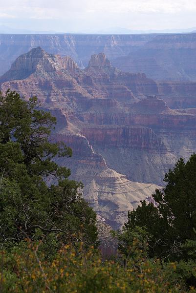 DSC05525.JPG - Bright Angel Point Trail - North Rim - Grand Canyon NP