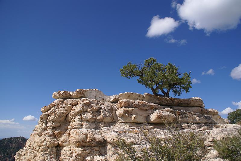 DSC05668.JPG - Morning at Bright Angels Point - North Rim - Grand Canyon NP