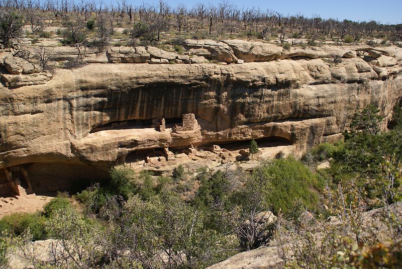 DSC05776.JPG - Cliff Houses on Mesa Top Loop - Mesa Verde NP - CO